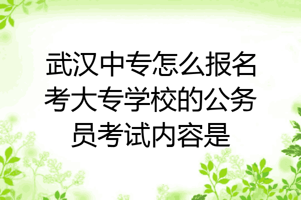 武汉中专怎么报名考大专学校的公务员考试内容是