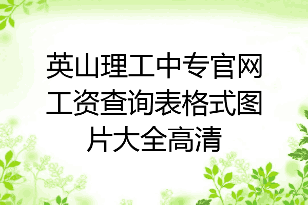 英山理工中专官网工资查询表格式图片大全高清