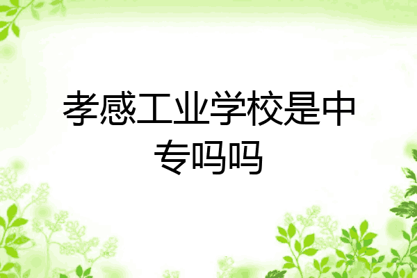 孝感工业学校是中专吗吗