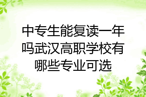 中专生能复读一年吗武汉高职学校有哪些专业可选