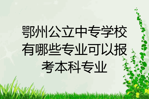 鄂州公立中专学校有哪些专业可以报考本科专业
