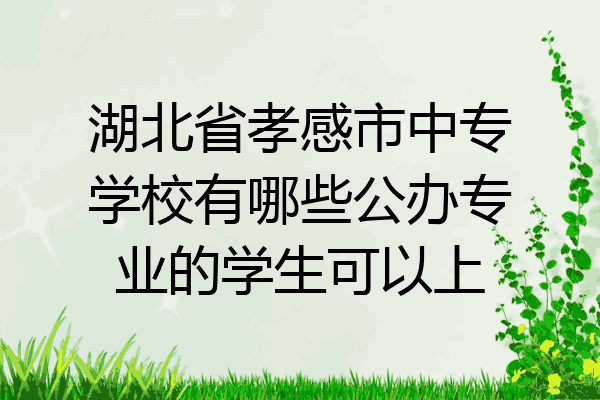 湖北省孝感市中专学校有哪些公办专业的学生可以上