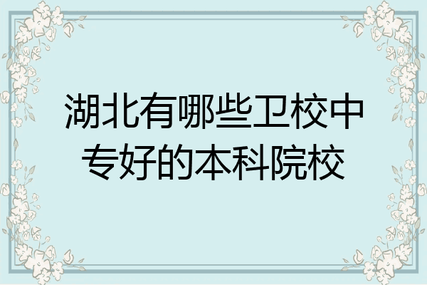 湖北有哪些卫校中专好的本科院校