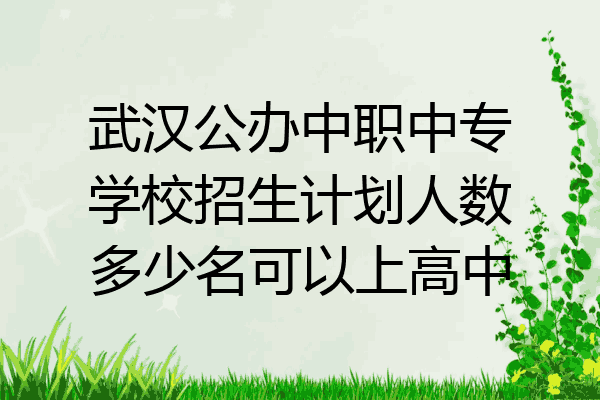 武汉公办中职中专学校招生计划人数多少名可以上高中