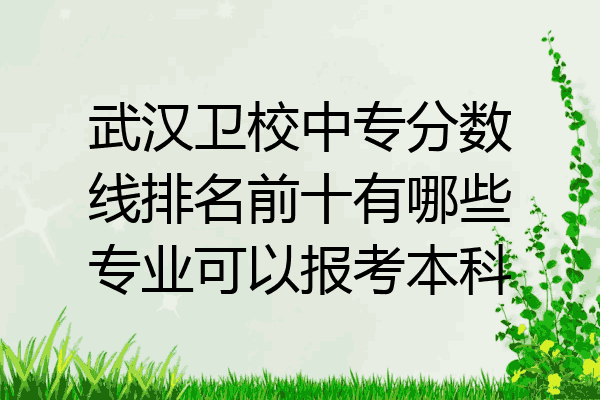 武汉卫校中专分数线排名前十有哪些专业可以报考本科