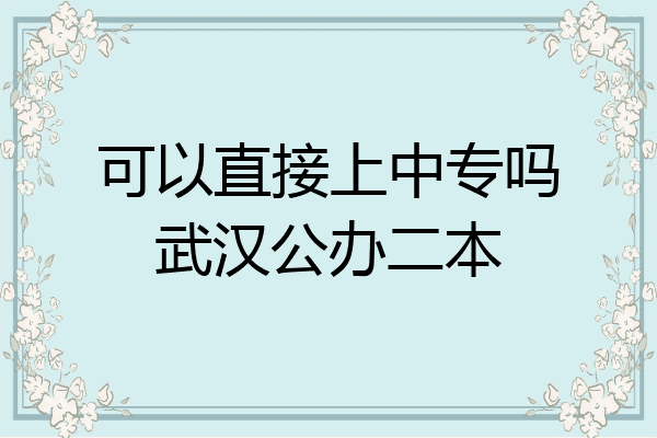 可以直接上中专吗武汉公办二本
