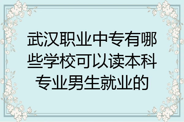 武汉职业中专有哪些学校可以读本科专业男生就业的