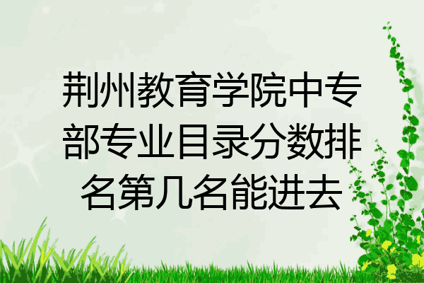 荆州教育学院中专部专业目录分数排名第几名能进去