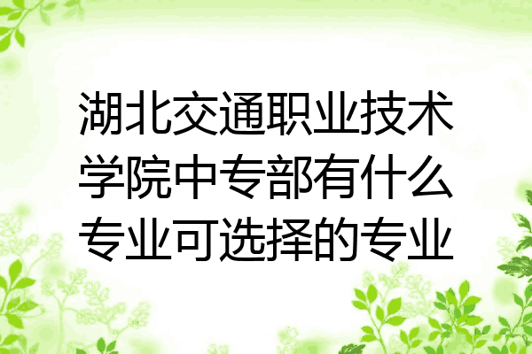 湖北交通职业技术学院中专部有什么专业可选择的专业