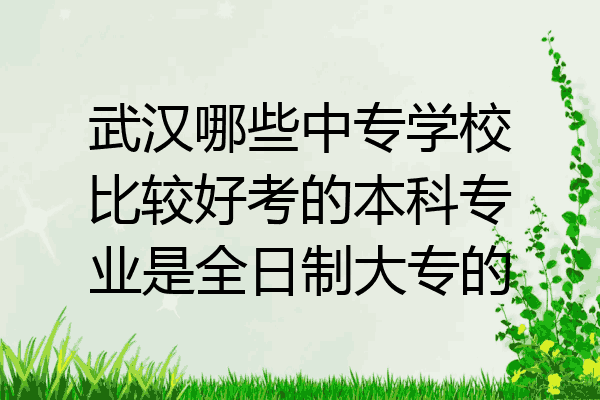 武汉哪些中专学校比较好考的本科专业是全日制大专的