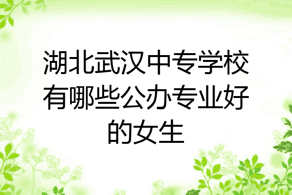 湖北武汉中专学校有哪些公办专业好的女生
