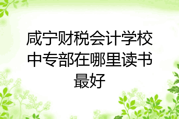 咸宁财税会计学校中专部在哪里读书最好