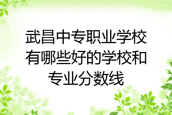 武昌中专职业学校有哪些好的学校和专业分数线