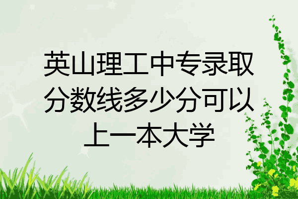 英山理工中专录取分数线多少分可以上一本大学