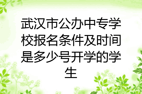 武汉市公办中专学校报名条件及时间是多少号开学的学生
