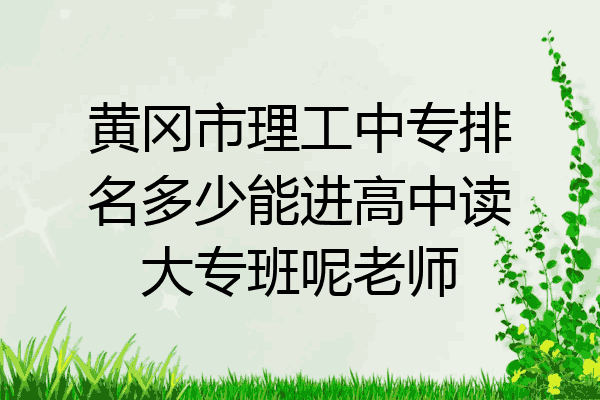 黄冈市理工中专排名多少能进高中读大专班呢老师