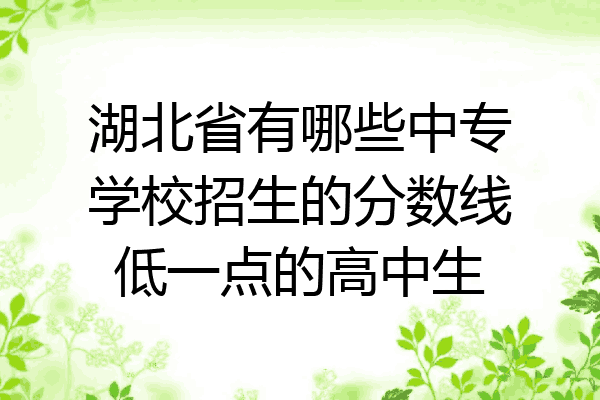 湖北省有哪些中专学校招生的分数线低一点的高中生