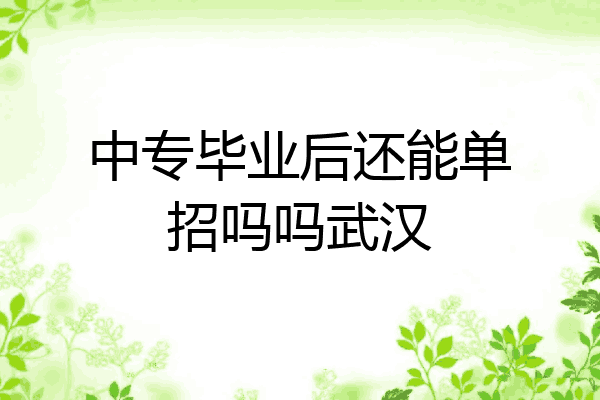 中专毕业后还能单招吗吗武汉