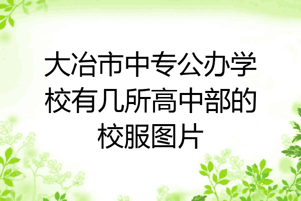 大冶市中专公办学校有几所高中部的校服图片