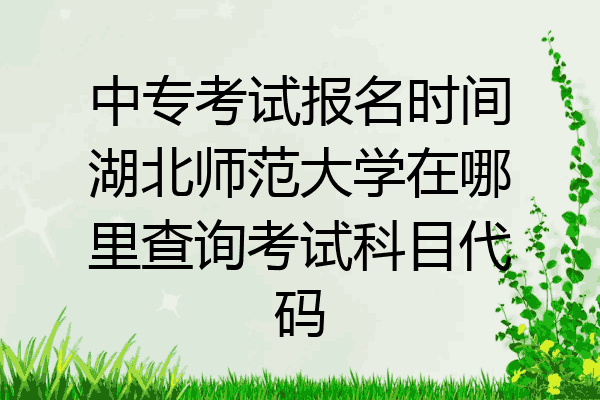 中专考试报名时间湖北师范大学在哪里查询考试科目代码