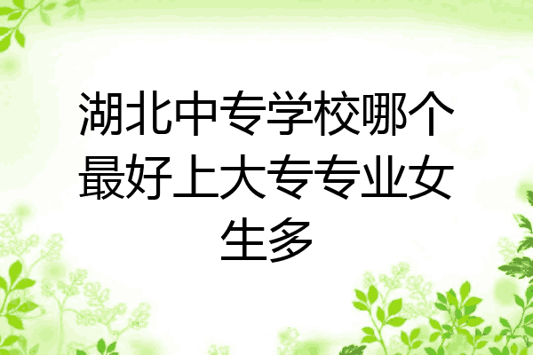湖北中专学校哪个最好上大专专业女生多