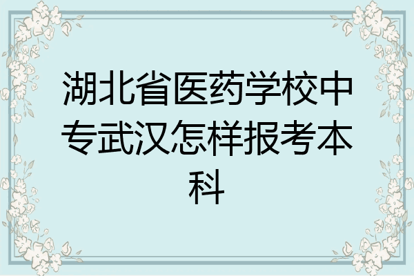 湖北省医药学校中专武汉怎样报考本科
