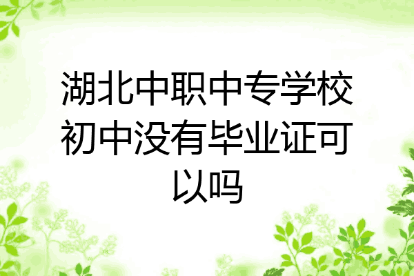 湖北中职中专学校初中没有毕业证可以吗