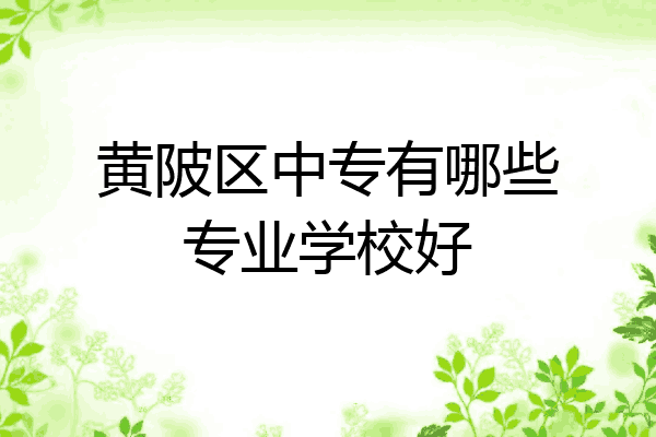 黄陂区中专有哪些专业学校好