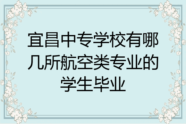 宜昌中专学校有哪几所航空类专业的学生毕业