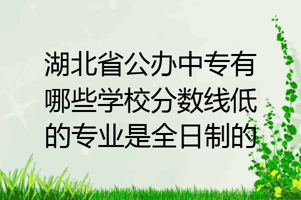湖北省公办中专有哪些学校分数线低的专业是全日制的