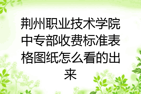 荆州职业技术学院中专部收费标准表格图纸怎么看的出来