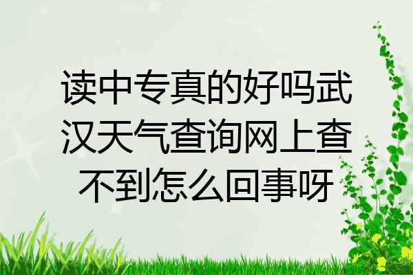 读中专真的好吗武汉天气查询网上查不到怎么回事呀