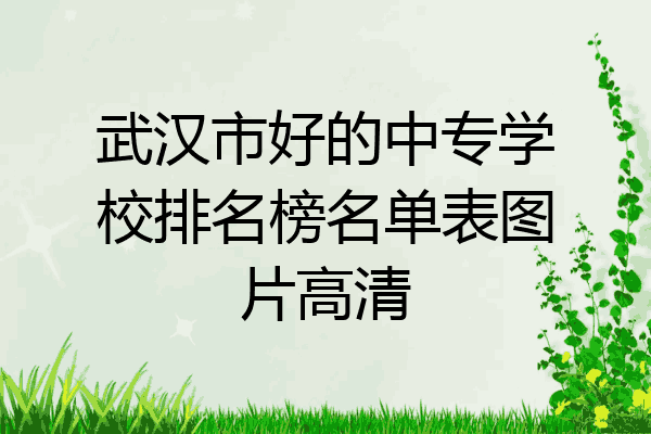 武汉市好的中专学校排名榜名单表图片高清