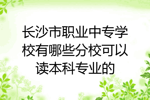 长沙市职业中专学校有哪些分校可以读本科专业的