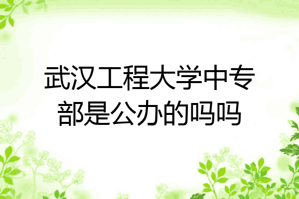 武汉工程大学中专部是公办的吗吗