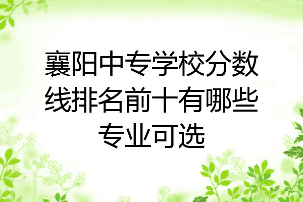 襄阳中专学校分数线排名前十有哪些专业可选
