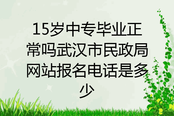 15岁中专毕业正常吗武汉市民政局网站报名电话是多少