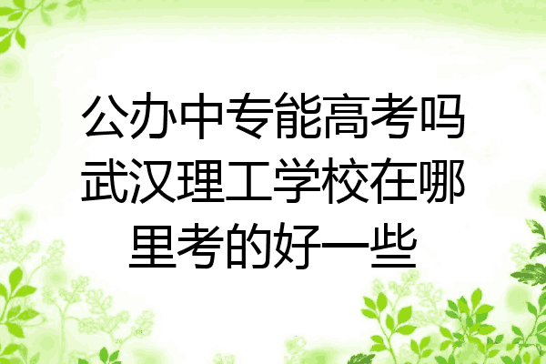 公办中专能高考吗武汉理工学校在哪里考的好一些