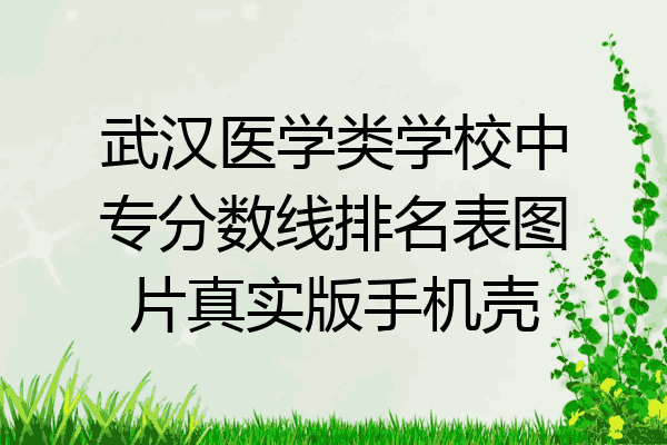 武汉医学类学校中专分数线排名表图片真实版手机壳