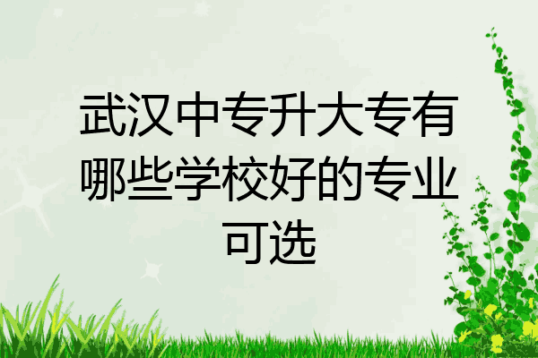 武汉中专升大专有哪些学校好的专业可选