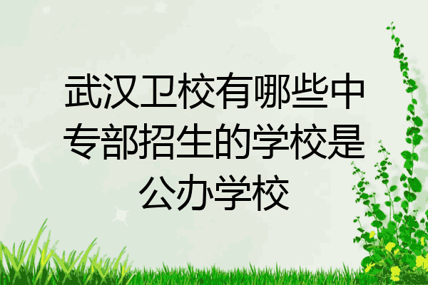 武汉卫校有哪些中专部招生的学校是公办学校