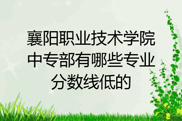 襄阳职业技术学院中专部有哪些专业分数线低的