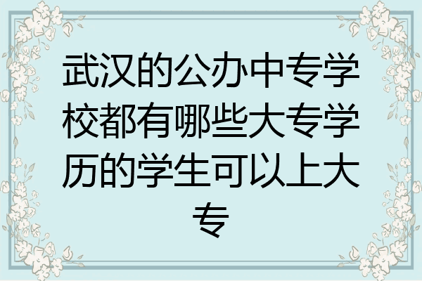 武汉的公办中专学校都有哪些大专学历的学生可以上大专