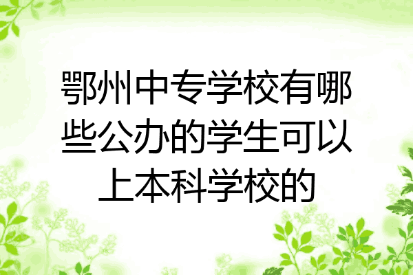 鄂州中专学校有哪些公办的学生可以上本科学校的