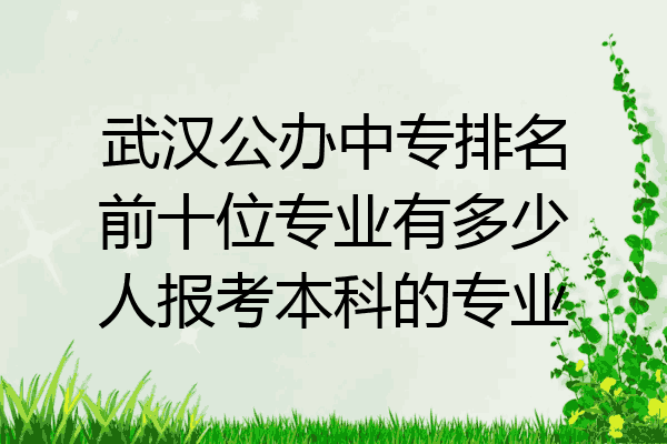 武汉公办中专排名前十位专业有多少人报考本科的专业