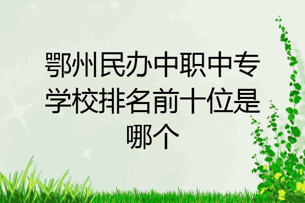 鄂州民办中职中专学校排名前十位是哪个