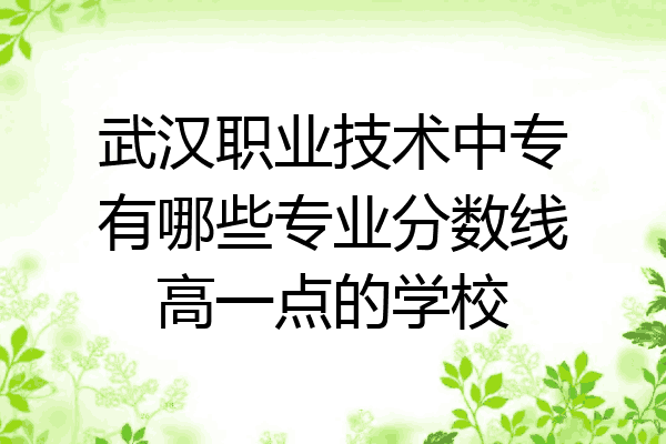 武汉职业技术中专有哪些专业分数线高一点的学校