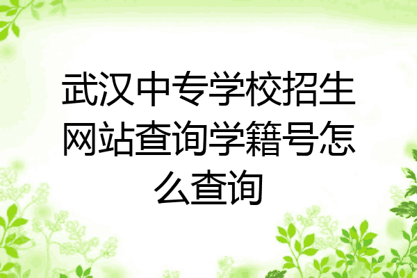 武汉中专学校招生网站查询学籍号怎么查询