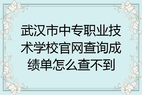 武汉市中专职业技术学校官网查询成绩单怎么查不到