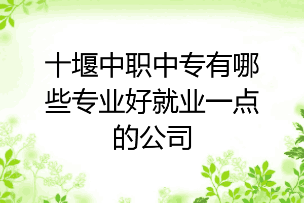十堰中职中专有哪些专业好就业一点的公司